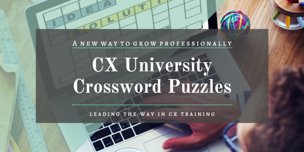 Customer Experience crossword gamification CX University