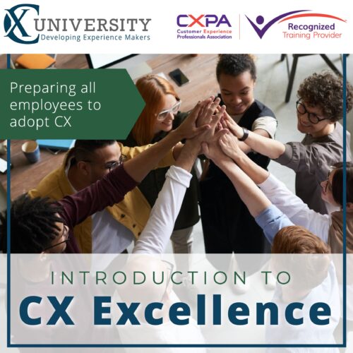 CX Excellence product image (1)
