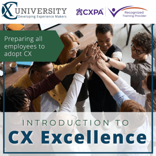 CX Excellence product image