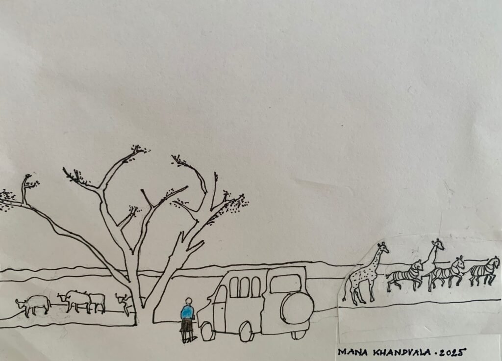 Hand drawn illustration of my safari adventure in Nairobi